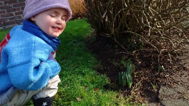 IMG_20180119_124314556