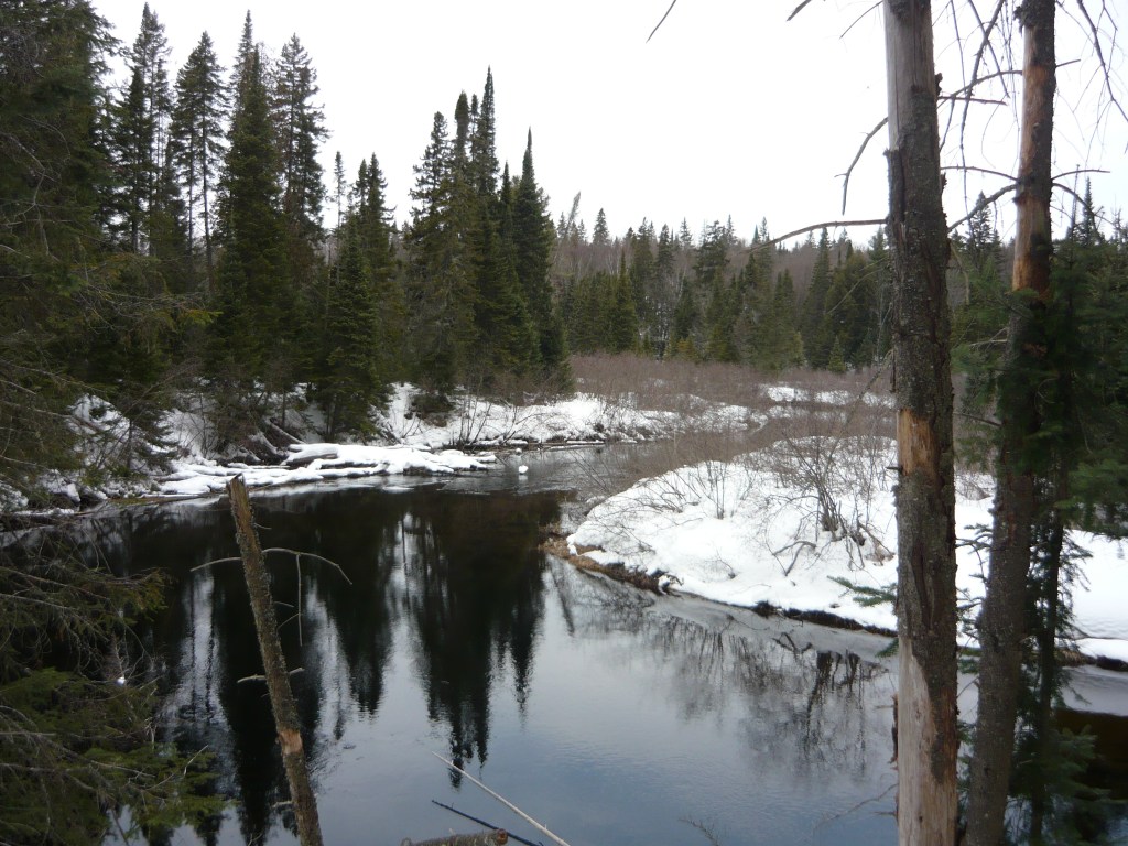 Algonquin Park, March 2013